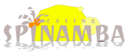 spinamba casino