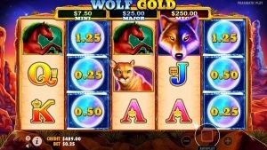 wolf gold play